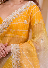 Organza Saree