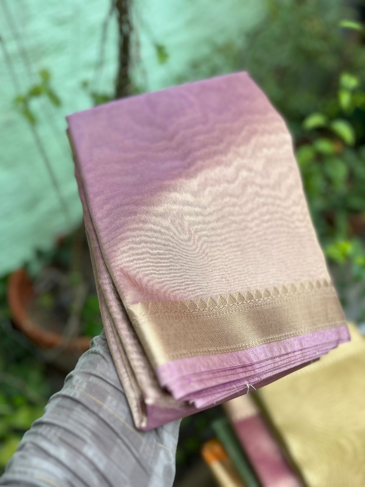Plain tissue sarees with border