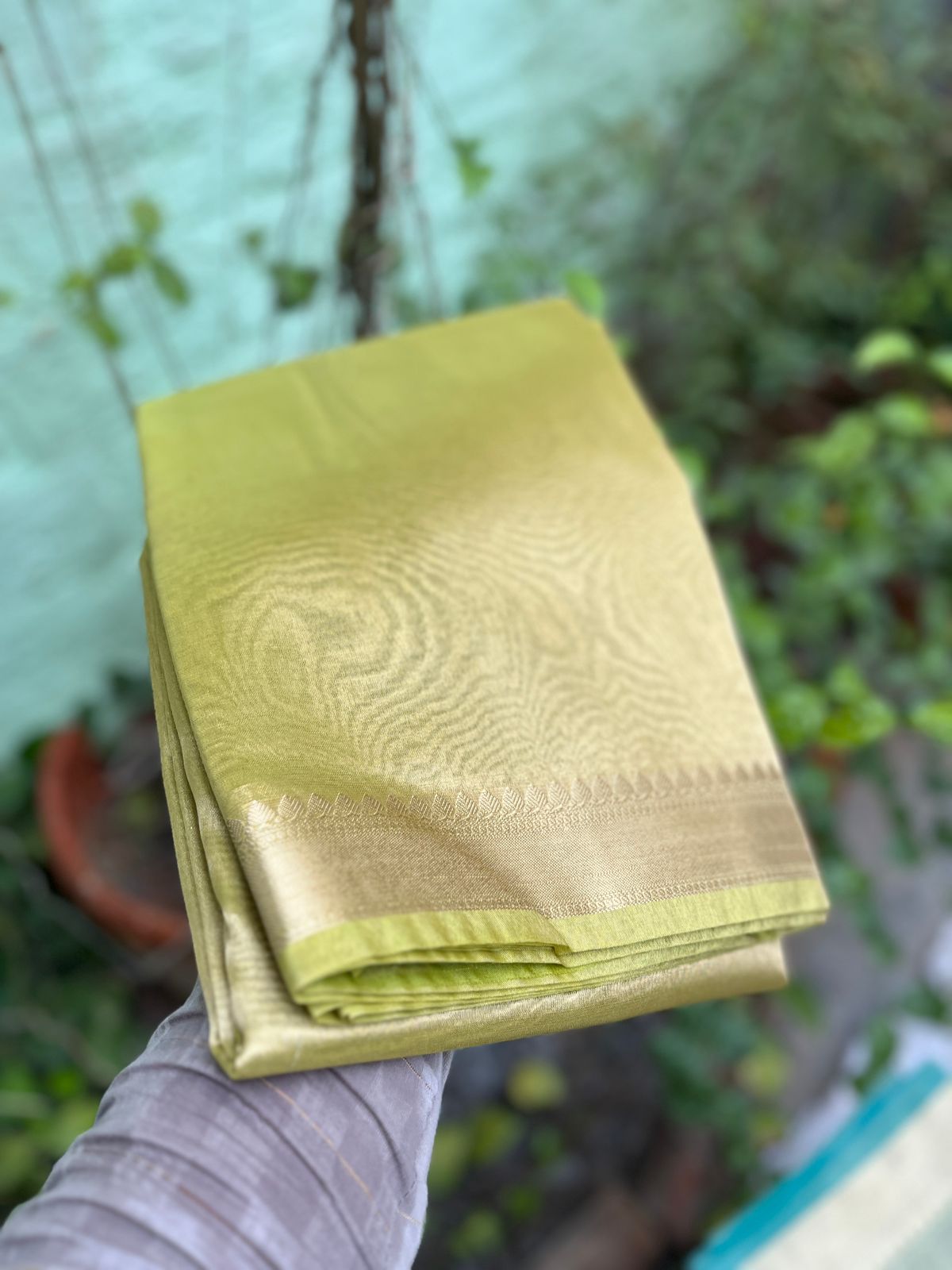 Plain tissue sarees with border